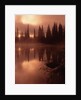 Tree Reflection on a Lake by Anonymous