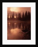 Tree Reflection on a Lake by Anonymous