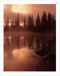 Tree Reflection on a Lake by Anonymous