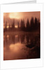 Tree Reflection on a Lake by Anonymous