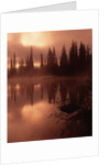 Tree Reflection on a Lake by Anonymous
