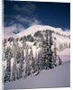 Mount Rainier by Anonymous