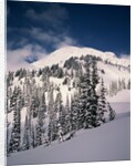 Mount Rainier by Anonymous