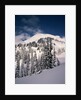 Mount Rainier by Anonymous