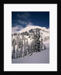 Mount Rainier by Anonymous