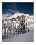 Mount Rainier by Anonymous