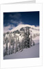 Mount Rainier by Anonymous