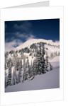 Mount Rainier by Anonymous