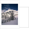 Mount Rainier by Anonymous