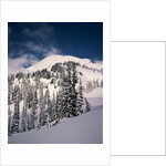 Mount Rainier by Anonymous