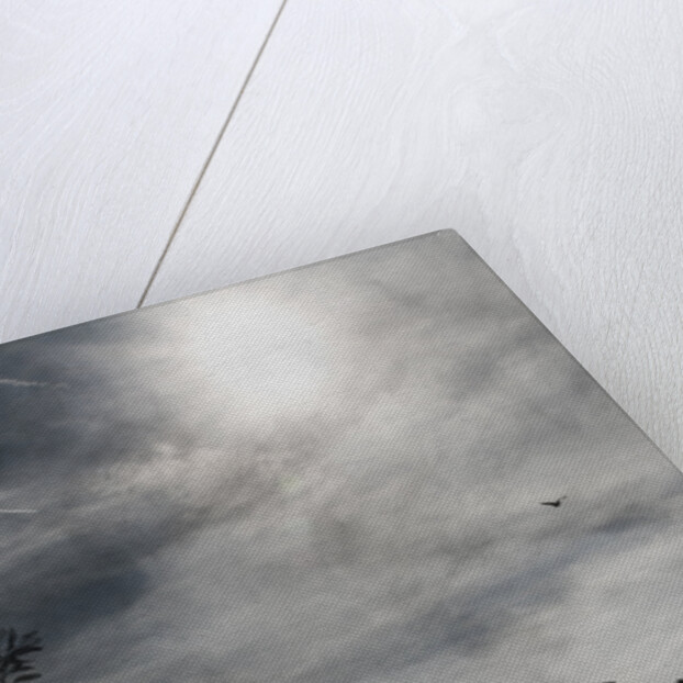 deserted house by Alexandra Stanek