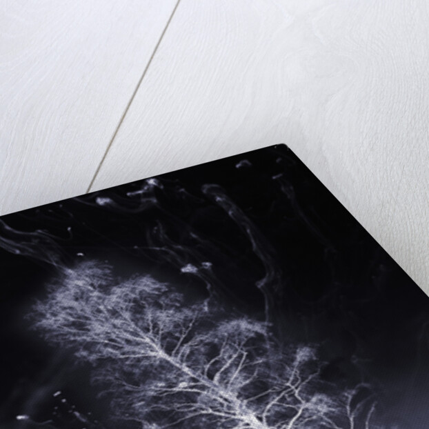 dream of snow by Alexandra Stanek