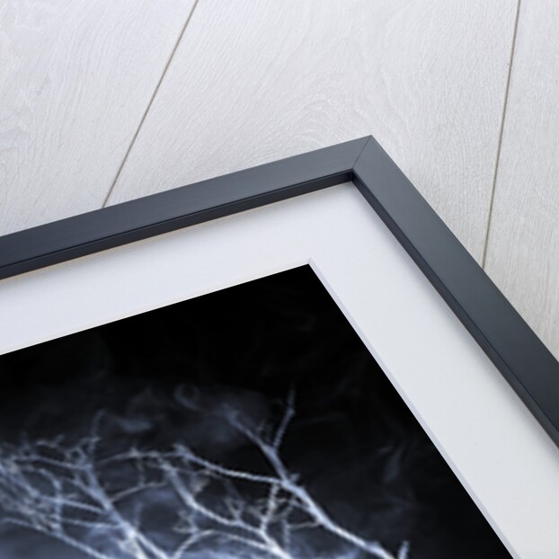 dreamescape by Alexandra Stanek