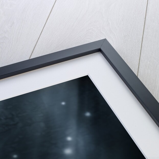 fascinating thing by Alexandra Stanek