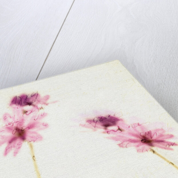 essences from the past by Antonis Gourountis