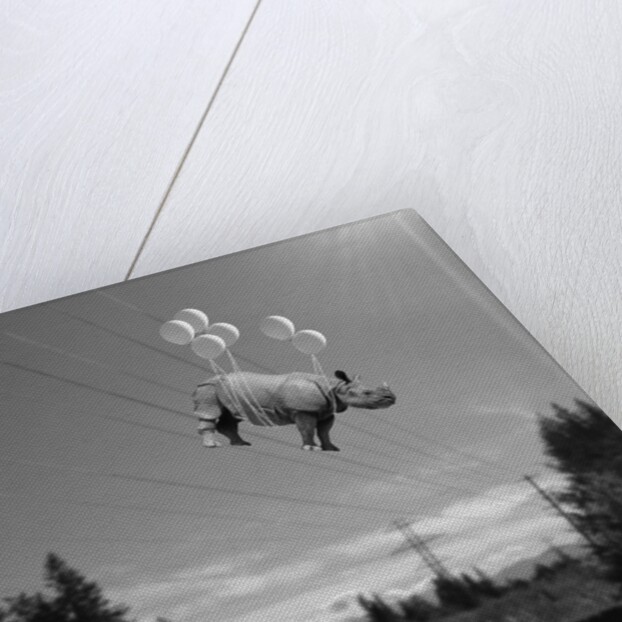 Electric feel by Janine Graf