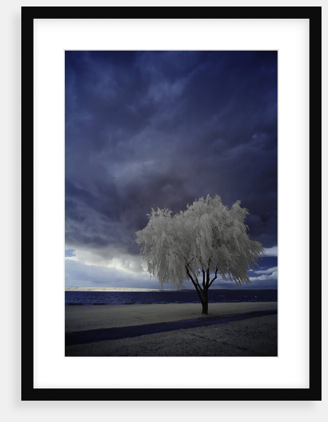 Dark sky by Ricardo Demurez