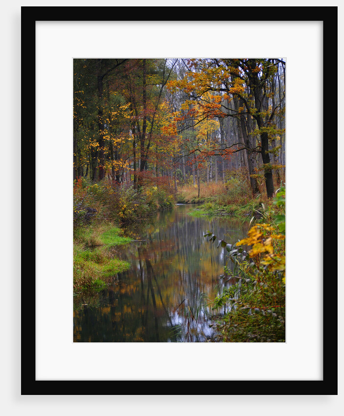 fall by Wolfgang Simlinger