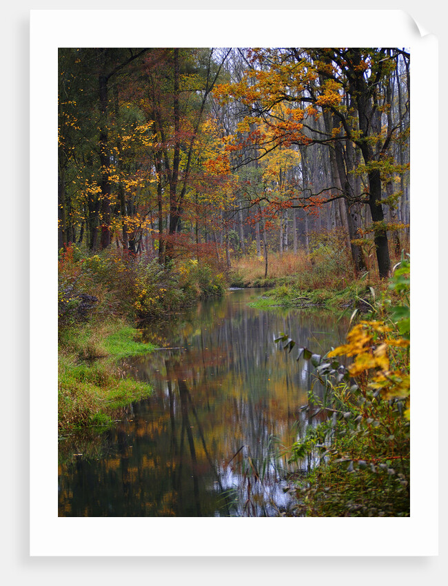 fall by Wolfgang Simlinger