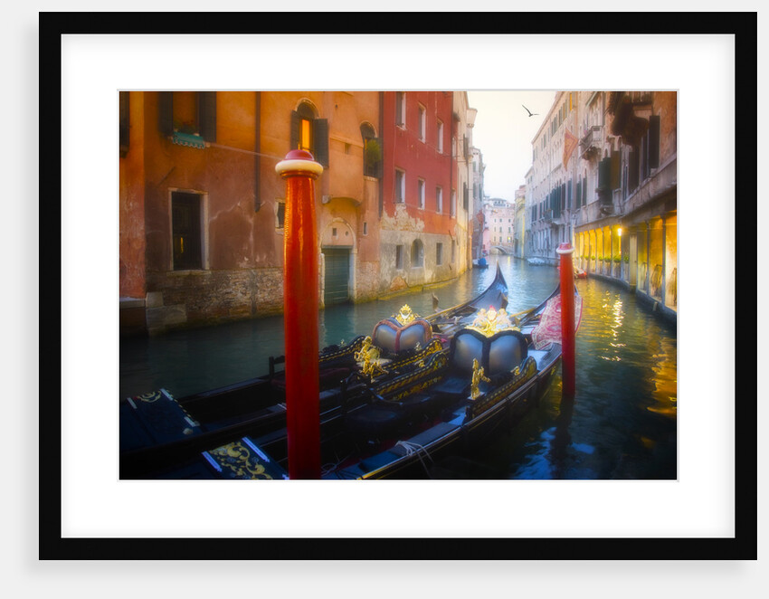 A Grand Ride, Venice by Dee Smart