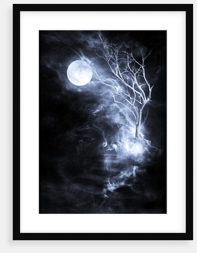 dreamescape by Alexandra Stanek