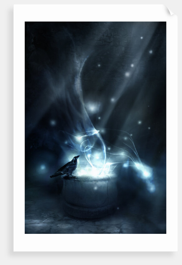 fascinating thing by Alexandra Stanek