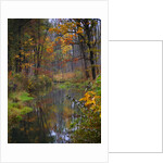 fall by Wolfgang Simlinger