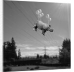 Electric feel by Janine Graf