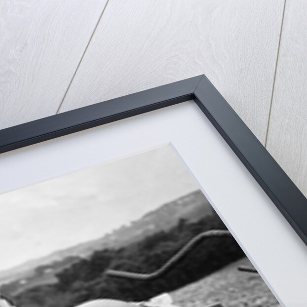 A Land Girl ploughing a field by Associated Newspapers