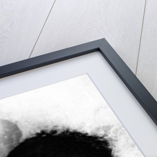 British boxer Frank Bruno in the Jacuzzi by Associated Newspapers