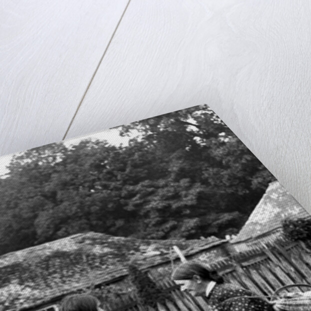 Arbroath fisherwomen by Associated Newspapers