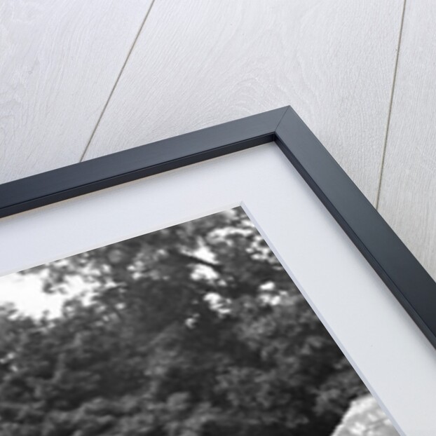 Arbroath fisherwomen by Associated Newspapers