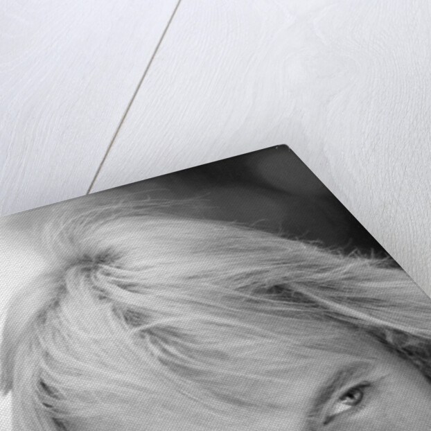 Sting in profile by Associated Newspapers