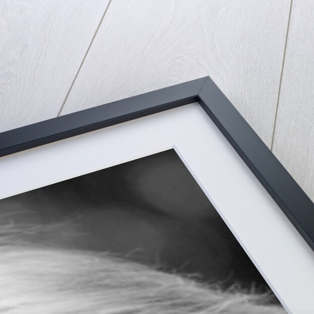 Sting in profile by Associated Newspapers