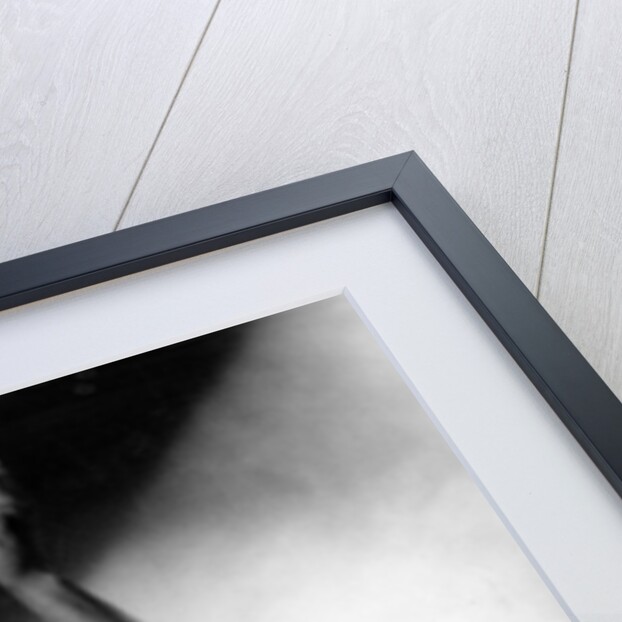 Prince with tambourine by Associated Newspapers