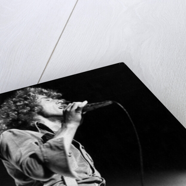 Roger Daltrey on stage by Associated Newspapers