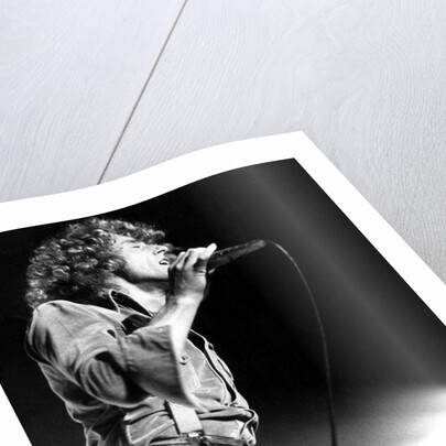 Roger Daltrey on stage by Associated Newspapers