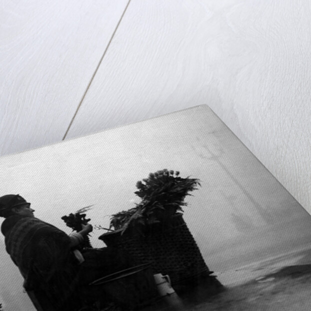 Piccadilly flower seller by Associated Newspapers