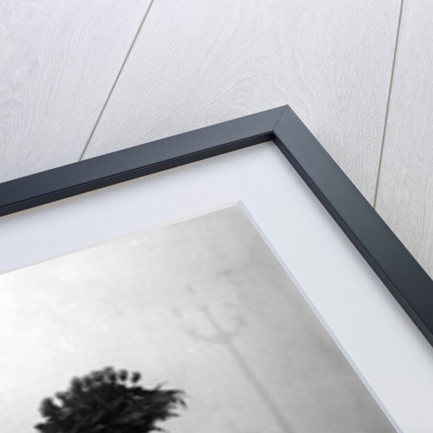 Piccadilly flower seller by Associated Newspapers