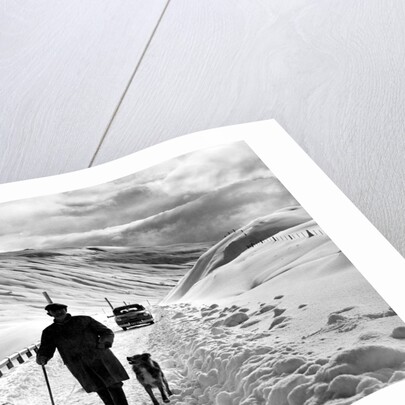 A shepherd in the snow by Associated Newspapers