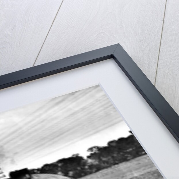 The Elizabethan 60028 by Associated Newspapers