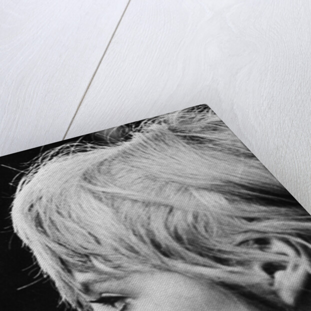 Marianne Faithfull in profile by Associated Newspapers