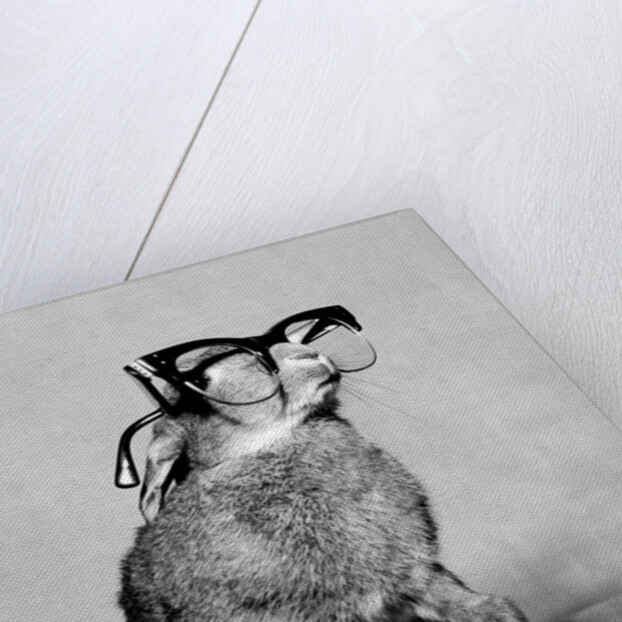 Short-sighted Bunny by Associated Newspapers