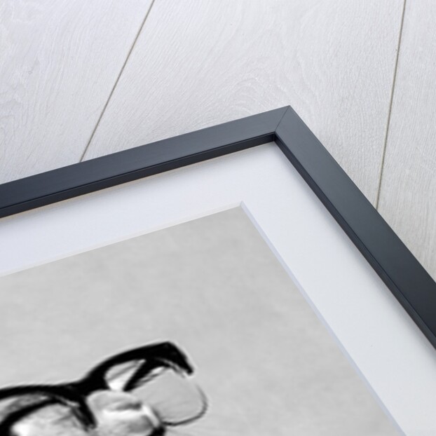 Short-sighted Bunny by Associated Newspapers