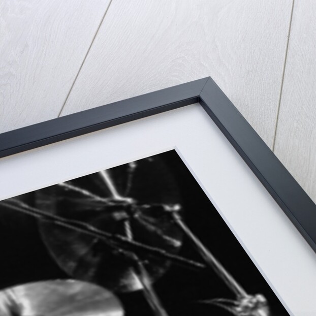 Nick Mason of Pink Floyd by Associated Newspapers