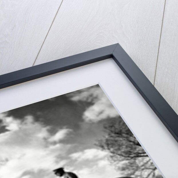 Edinburgh Castle by Associated Newspapers