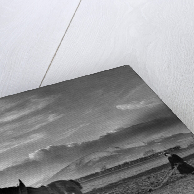 Horse-drawn plough by Associated Newspapers