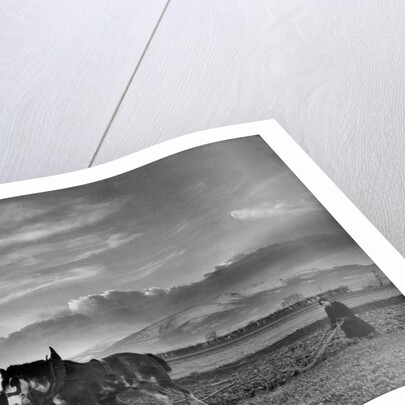 Horse-drawn plough by Associated Newspapers