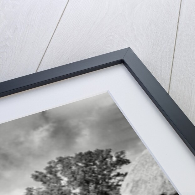 Traction engine driving  a threshing machine by Associated Newspapers