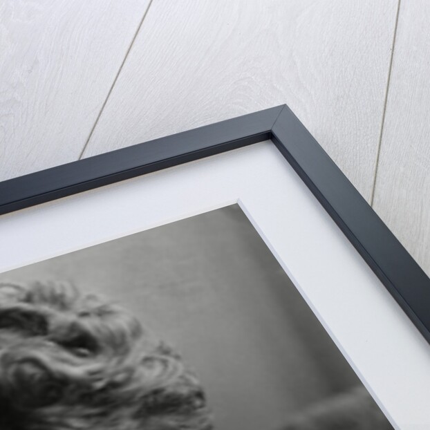 Joan Collins aged 18 by Associated Newspapers